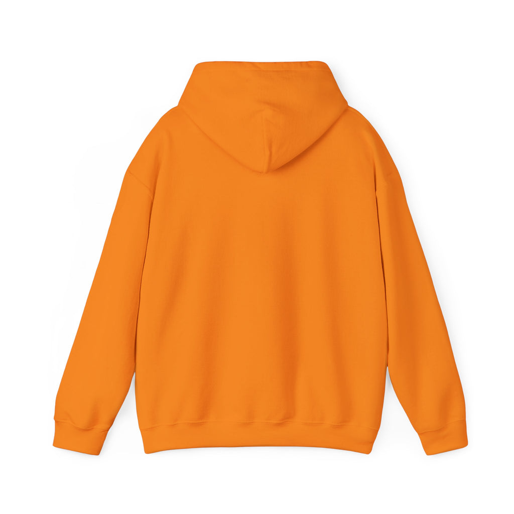 Hooded Sweatshirt, Cozy Unisex Hoodie, Comfortable Pullover, Inspirational Sweatshirt, Relaxation Gift, Everyday Wear