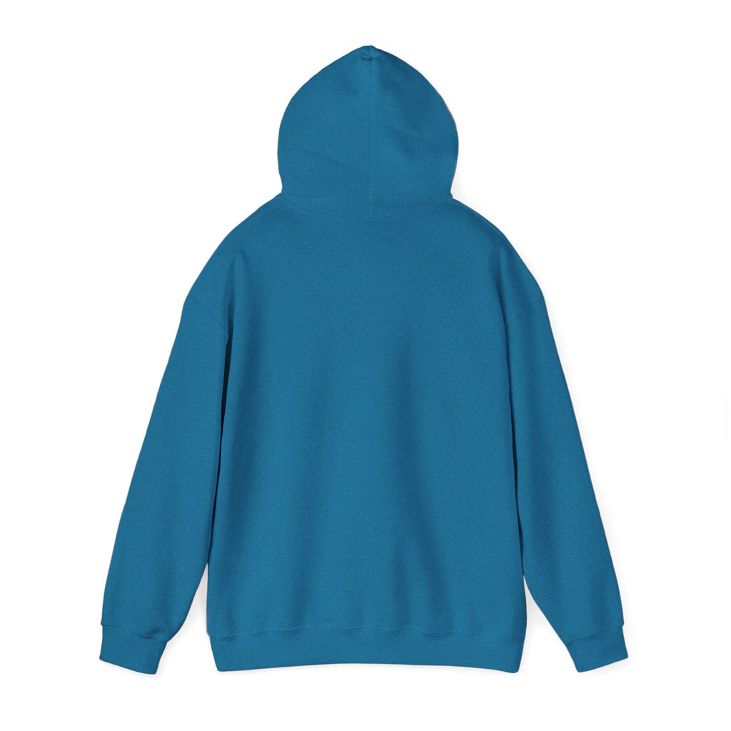 Energy Flow Sweatshirt | Unisex Hooded Sweatshirt with Positive Vibes, Cozy Gift, Meditation Gear, Spiritual Wellness Wear