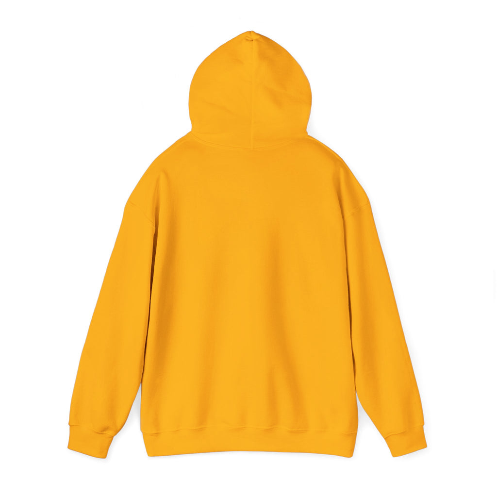 Hooded Sweatshirt, Cozy Unisex Hoodie, Comfortable Pullover, Inspirational Sweatshirt, Relaxation Gift, Everyday Wear