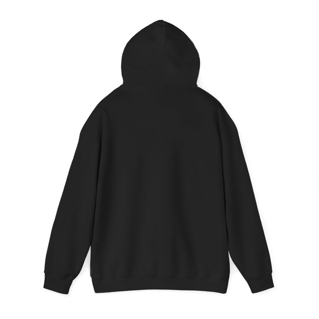 Energy Flow Sweatshirt | Unisex Hooded Sweatshirt with Positive Vibes, Cozy Gift, Meditation Gear, Spiritual Wellness Wear