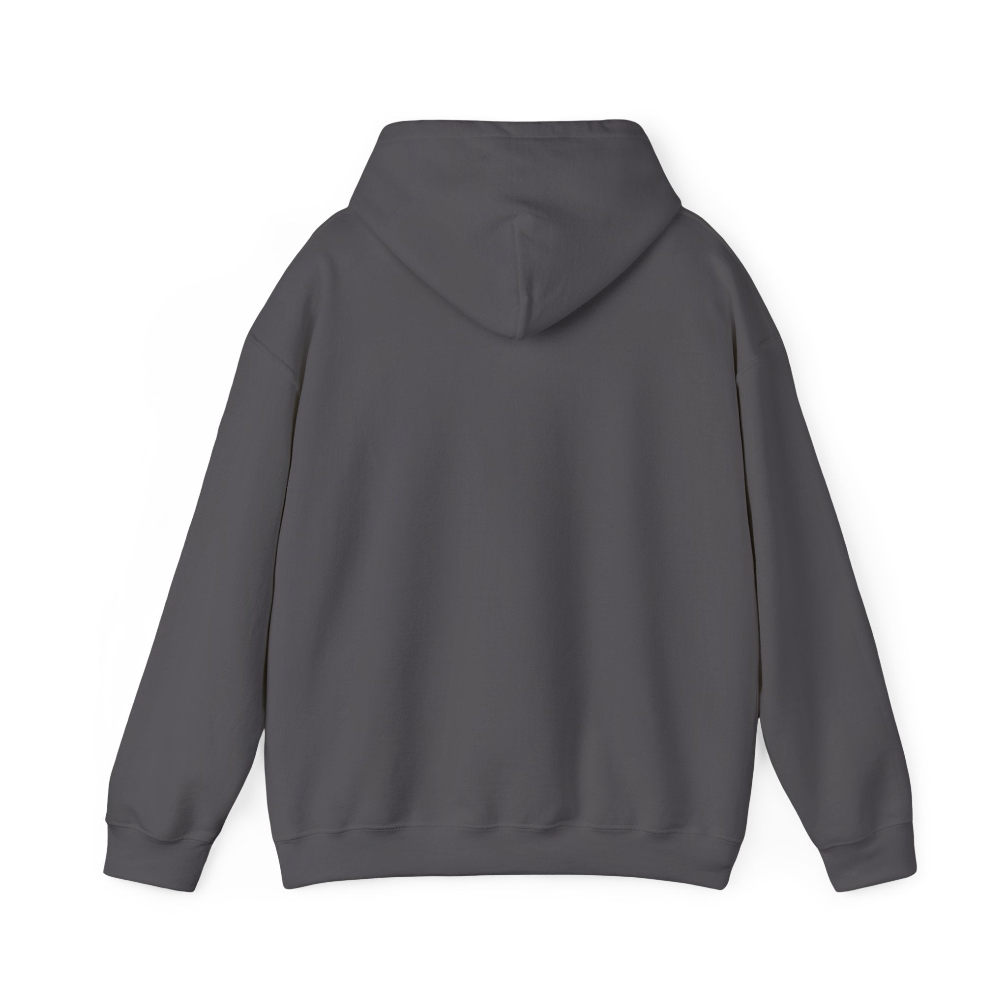 Hooded Sweatshirt, Cozy Unisex Hoodie, Comfortable Pullover, Inspirational Sweatshirt, Relaxation Gift, Everyday Wear