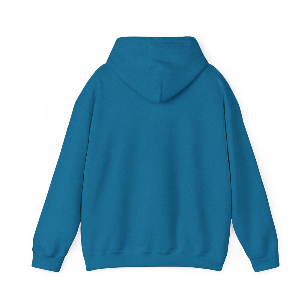 Energy Flow Sweatshirt | Unisex Hooded Sweatshirt with Positive Vibes, Cozy Gift, Meditation Gear, Spiritual Wellness Wear