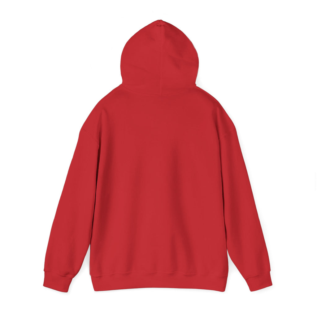 Hooded Sweatshirt, Cozy Unisex Hoodie, Comfortable Pullover, Inspirational Sweatshirt, Relaxation Gift, Everyday Wear
