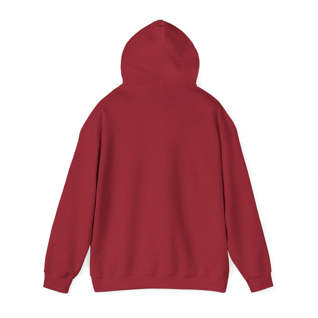 Energy Flow Sweatshirt | Unisex Hooded Sweatshirt with Positive Vibes, Cozy Gift, Meditation Gear, Spiritual Wellness Wear