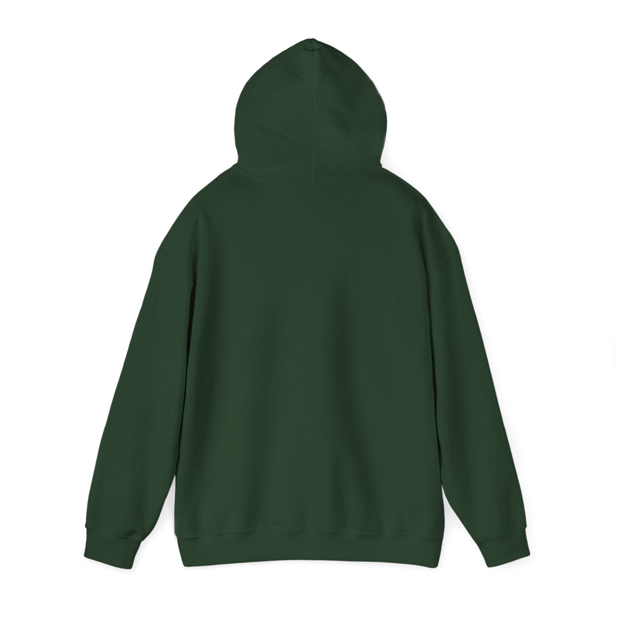 Hooded Sweatshirt, Cozy Unisex Hoodie, Comfortable Pullover, Inspirational Sweatshirt, Relaxation Gift, Everyday Wear