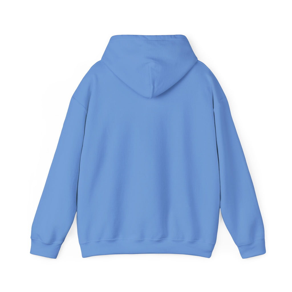 Energy Flow Sweatshirt | Unisex Hooded Sweatshirt with Positive Vibes, Cozy Gift, Meditation Gear, Spiritual Wellness Wear