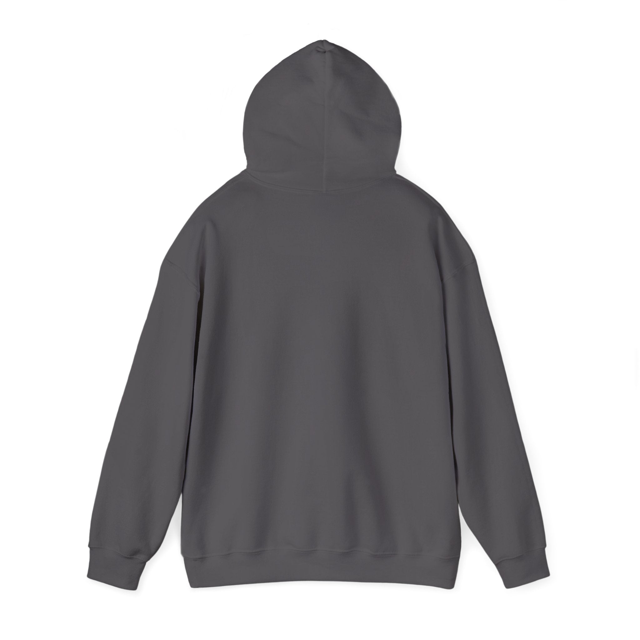 Hooded Sweatshirt, Cozy Unisex Hoodie, Comfortable Pullover, Inspirational Sweatshirt, Relaxation Gift, Everyday Wear