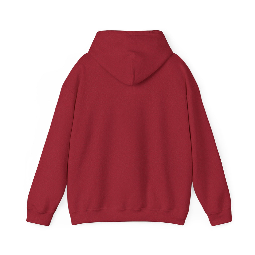 Hooded Sweatshirt, Cozy Unisex Hoodie, Comfortable Pullover, Inspirational Sweatshirt, Relaxation Gift, Everyday Wear