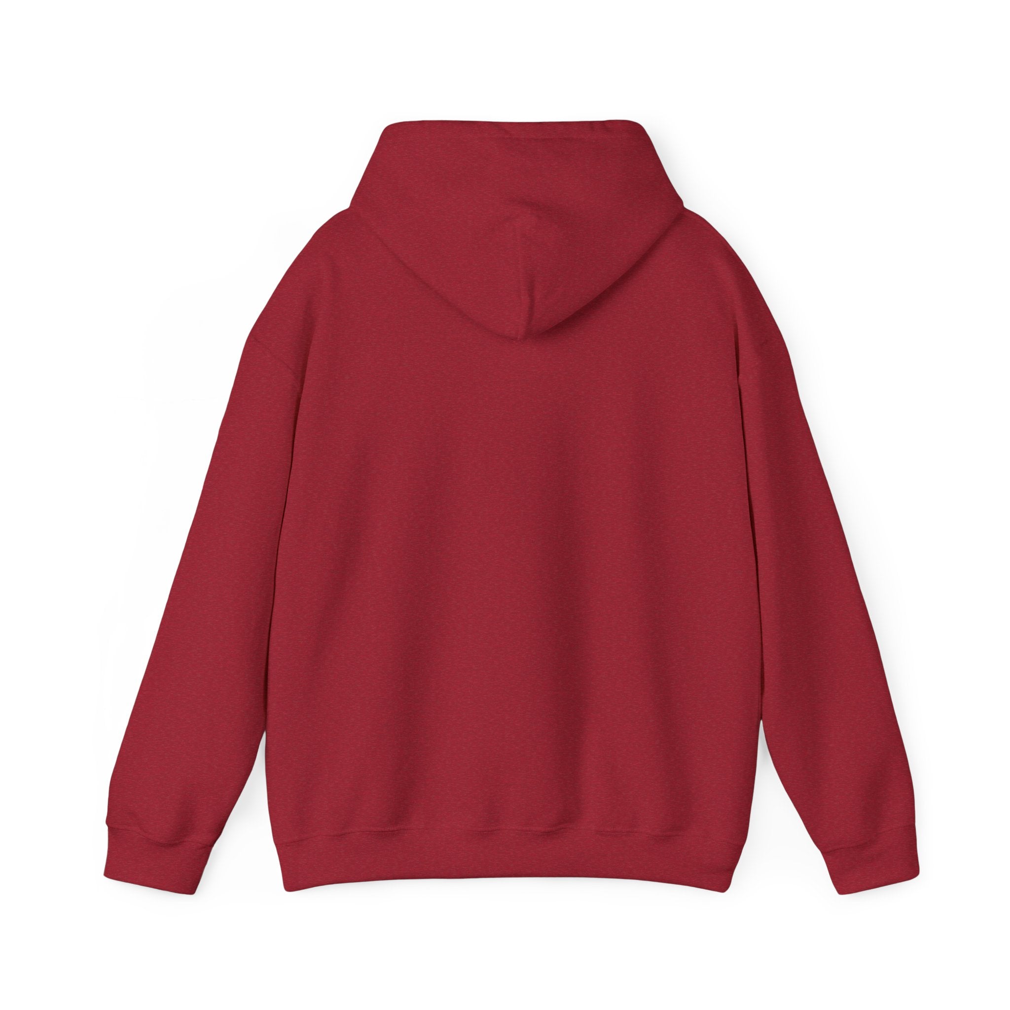 Hooded Sweatshirt, Cozy Unisex Hoodie, Comfortable Pullover, Inspirational Sweatshirt, Relaxation Gift, Everyday Wear