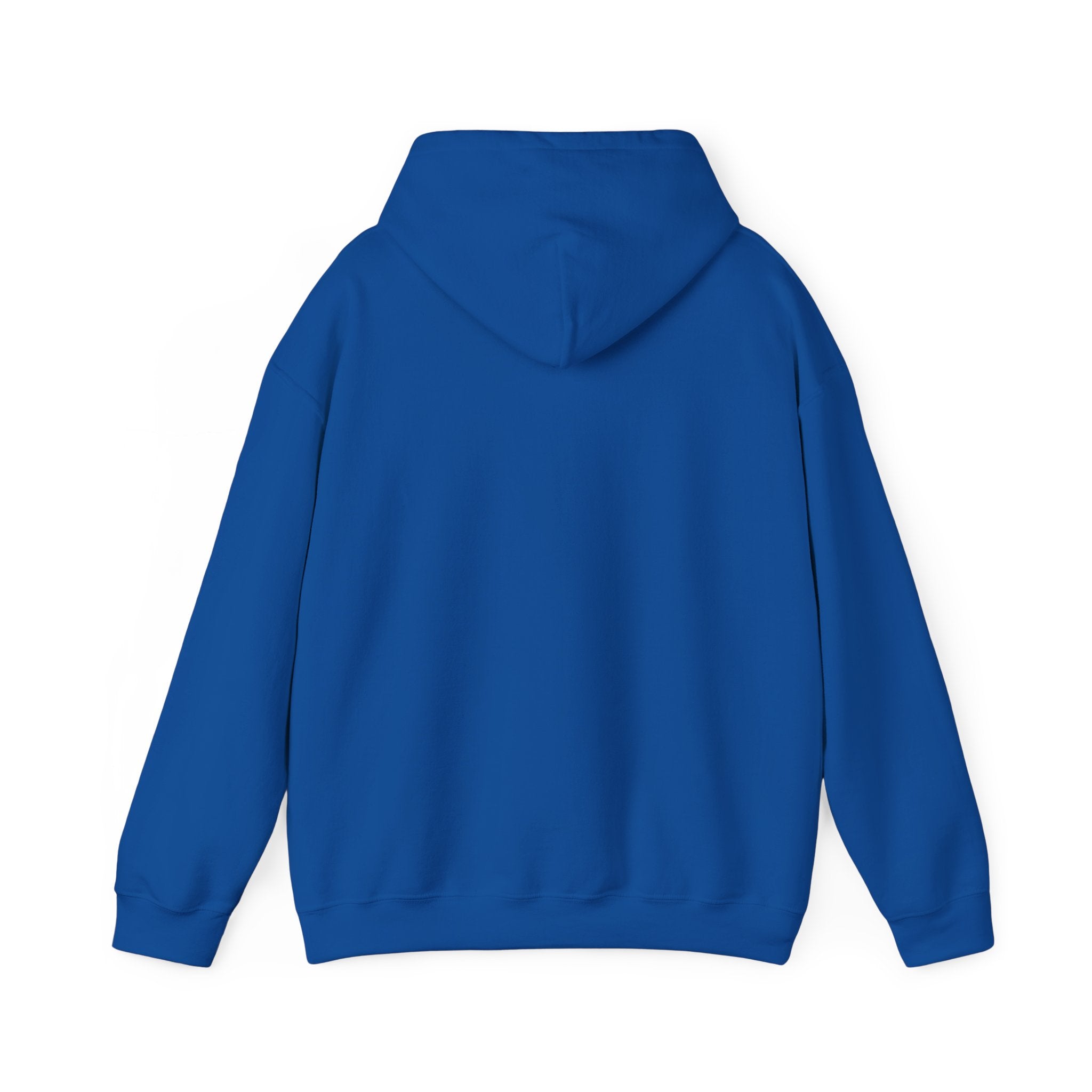Hooded Sweatshirt, Cozy Unisex Hoodie, Comfortable Pullover, Inspirational Sweatshirt, Relaxation Gift, Everyday Wear