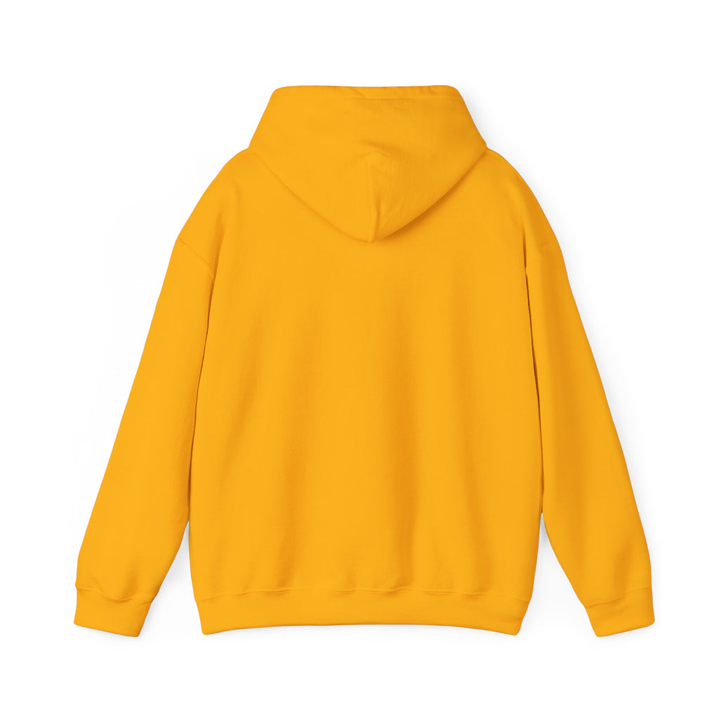 Hooded Sweatshirt, Cozy Unisex Hoodie, Comfortable Pullover, Inspirational Sweatshirt, Relaxation Gift, Everyday Wear