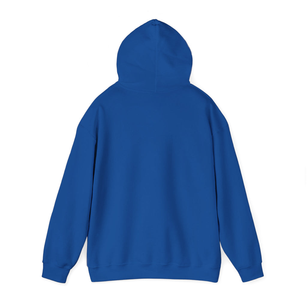 Hooded Sweatshirt, Cozy Unisex Hoodie, Comfortable Pullover, Inspirational Sweatshirt, Relaxation Gift, Everyday Wear