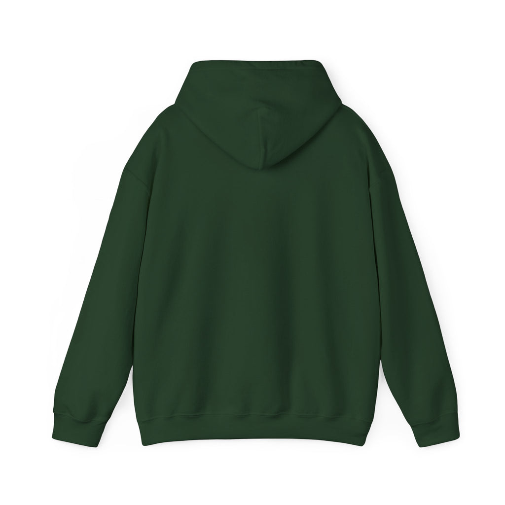 Hooded Sweatshirt, Cozy Unisex Hoodie, Comfortable Pullover, Inspirational Sweatshirt, Relaxation Gift, Everyday Wear