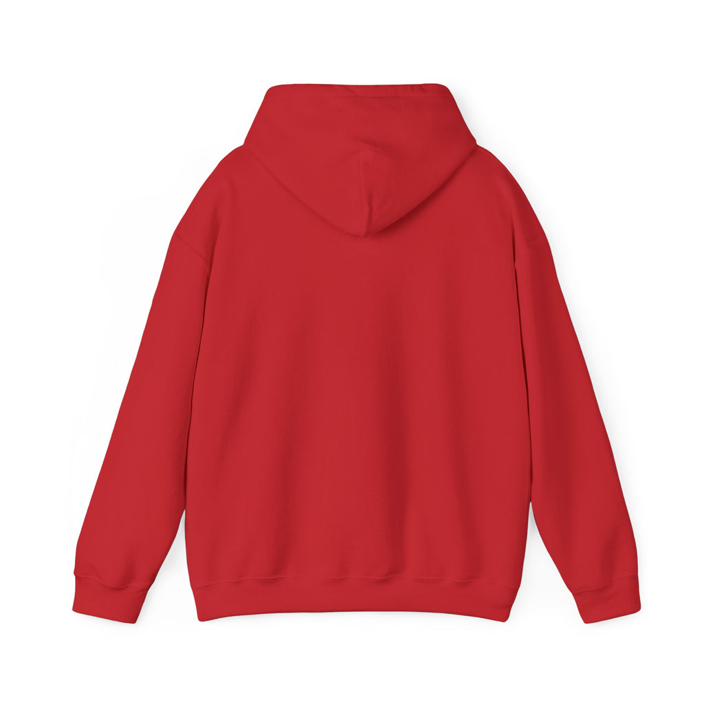 Hooded Sweatshirt, Cozy Unisex Hoodie, Comfortable Pullover, Inspirational Sweatshirt, Relaxation Gift, Everyday Wear