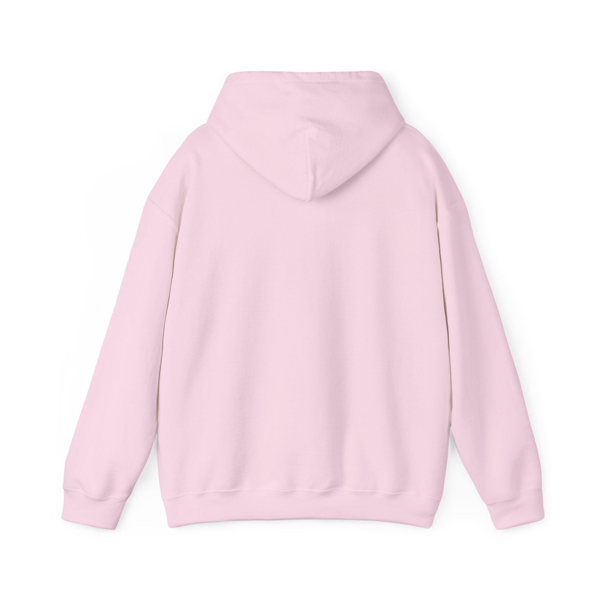 Hooded Sweatshirt, Cozy Unisex Hoodie, Comfortable Pullover, Inspirational Sweatshirt, Relaxation Gift, Everyday Wear