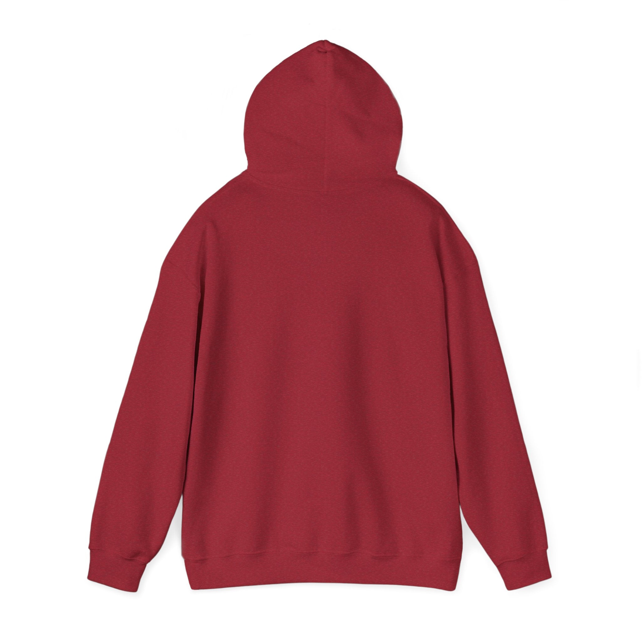 Hooded Sweatshirt, Cozy Unisex Hoodie, Comfortable Pullover, Inspirational Sweatshirt, Relaxation Gift, Everyday Wear